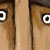 ????? ?????? ???????? ???????...